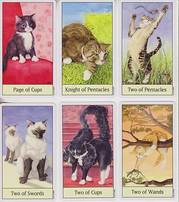 Cat's Eye Tarot